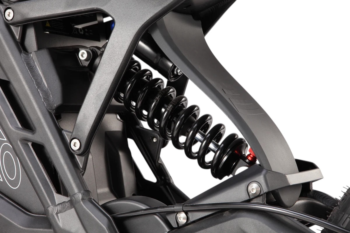 ERide Pro SE (L1e)